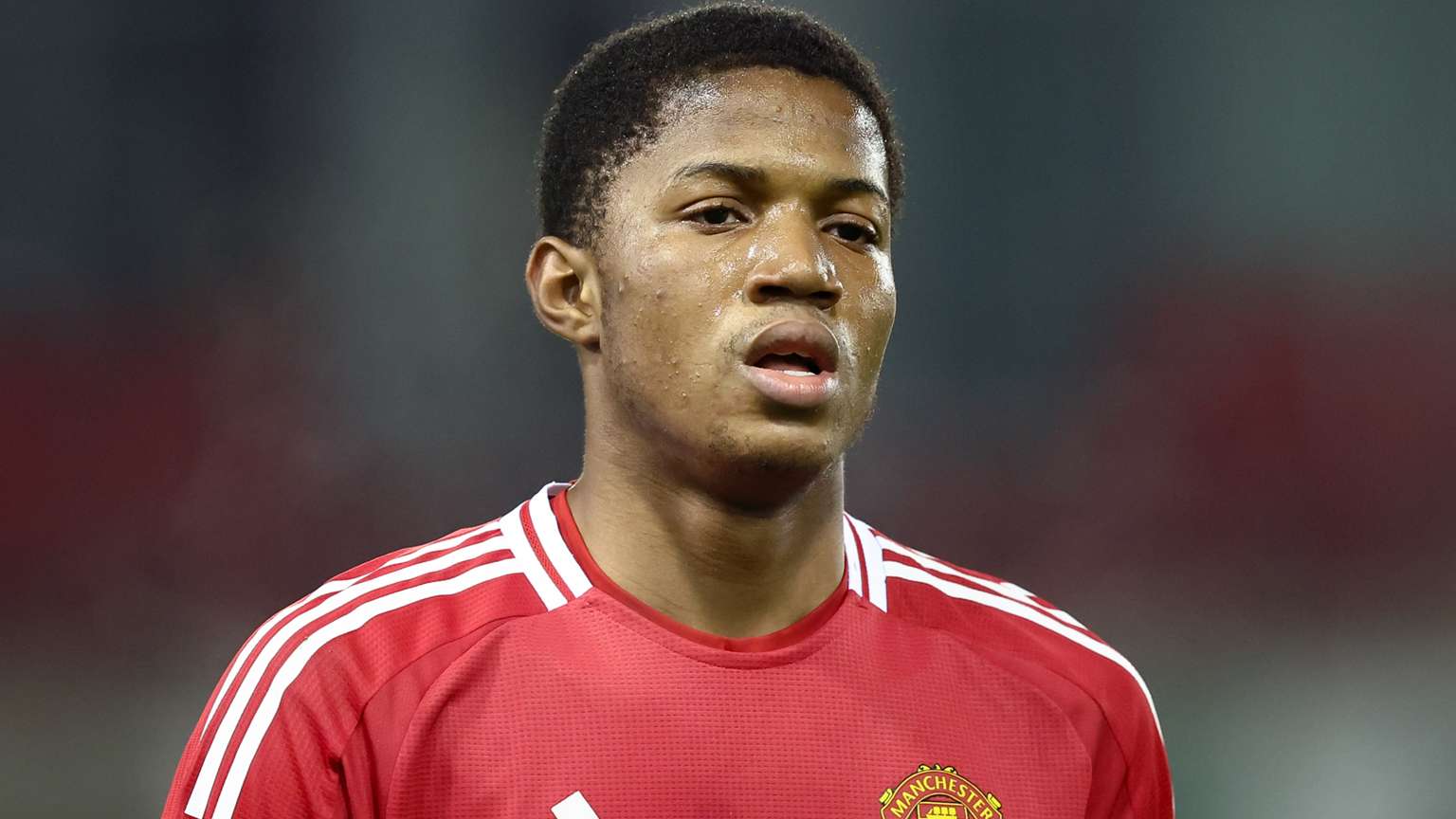 的商业版图 的商业版图